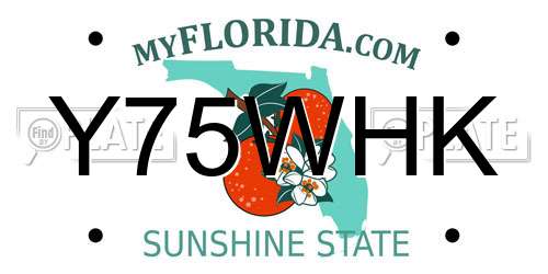 Y75WHK Florida License Plate