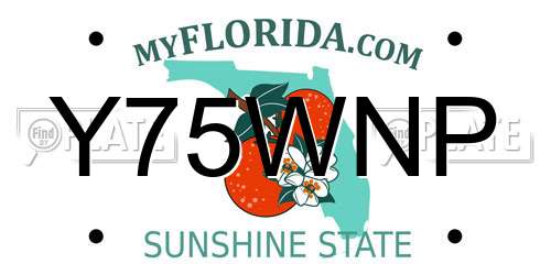 Y75WNP Florida License Plate