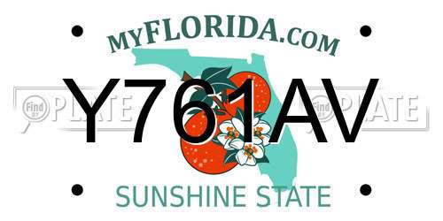 Y761AV Florida License Plate