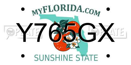 Y765GX Florida License Plate