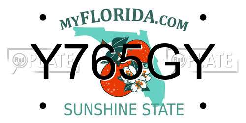 Y765GY Florida License Plate