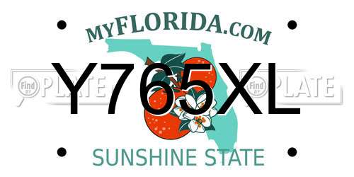 Y765XL Florida License Plate