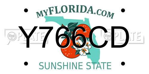 Y766CD Florida License Plate