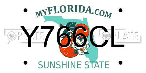 Y766CL Florida License Plate