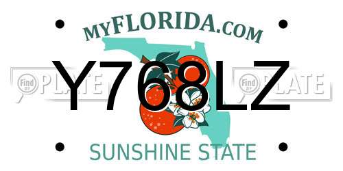 Y768LZ Florida License Plate