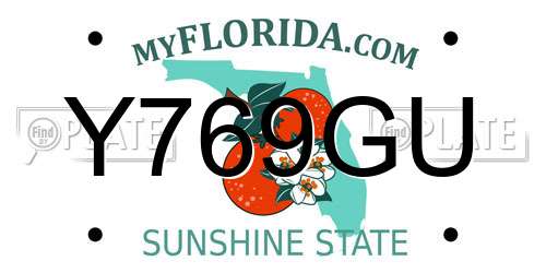 Y769GU Florida License Plate
