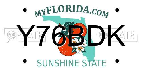 Y76BDK Florida License Plate