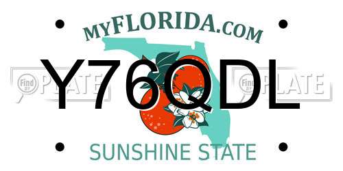 Y76QDL Florida License Plate