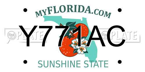 Y771AC Florida License Plate