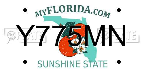Y775MN Florida License Plate