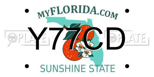 Y77CD Florida License Plate