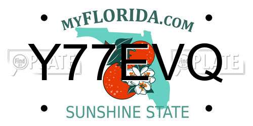 Y77EVQ Florida License Plate