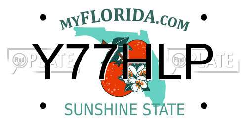 Y77HLP Florida License Plate