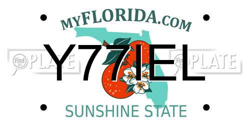 Y77IEL Florida License Plate