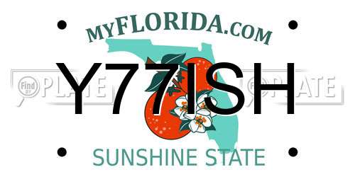 Y77ISH Florida License Plate
