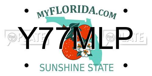 Y77MLP Florida License Plate