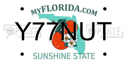 Y77NUT Florida License Plate