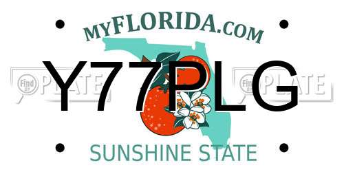 Y77PLG Florida License Plate