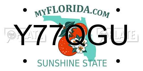 Y77QGU Florida License Plate