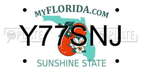 Y77SNJ Florida License Plate