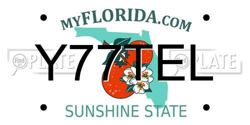 Y77TEL Florida License Plate
