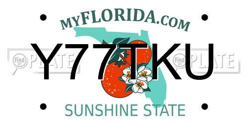 Y77TKU Florida License Plate