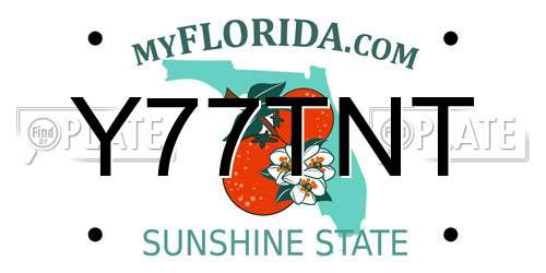 Y77TNT Florida License Plate
