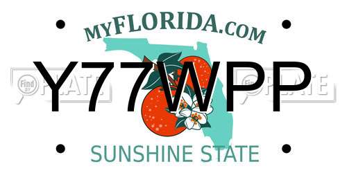 Y77WPP Florida License Plate
