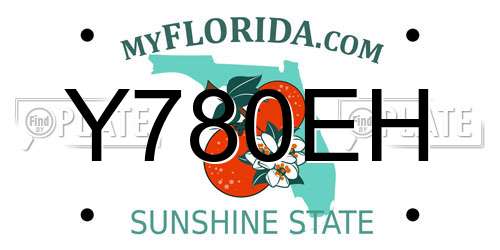 Y780EH Florida License Plate