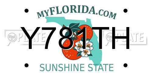 Y781TH Florida License Plate
