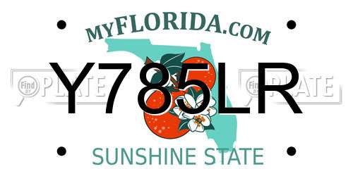 Y785LR Florida License Plate