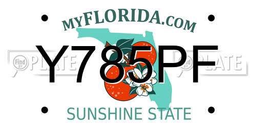 Y785PF Florida License Plate
