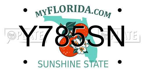 Y785SN Florida License Plate