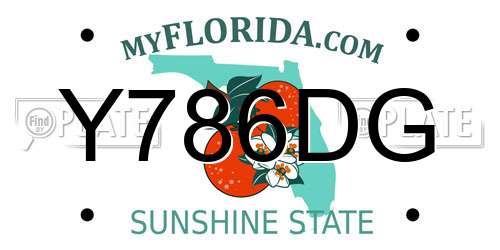Y786DG Florida License Plate