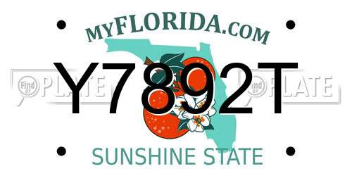 Y7892T Florida License Plate