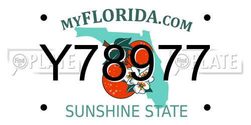 Y78977 Florida License Plate