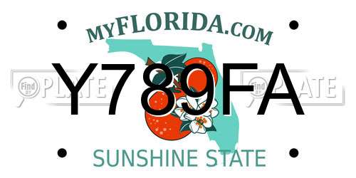 Y789FA Florida License Plate