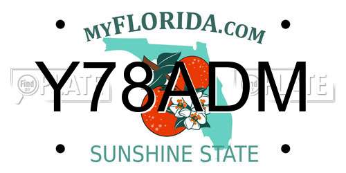 Y78ADM Florida License Plate