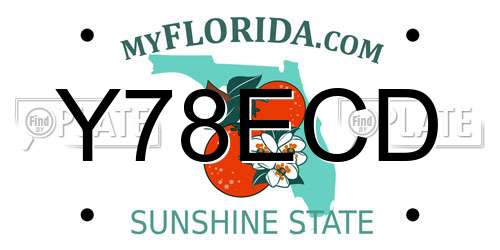 Y78ECD Florida License Plate