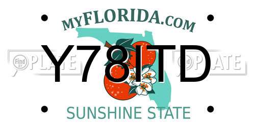 Y78ITD Florida License Plate