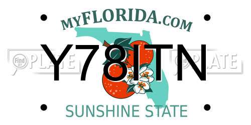 Y78ITN Florida License Plate