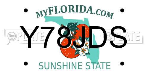 Y78JDS Florida License Plate