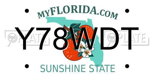 Y78WDT Florida License Plate