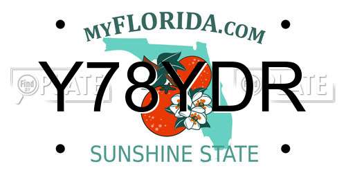 Y78YDR Florida License Plate