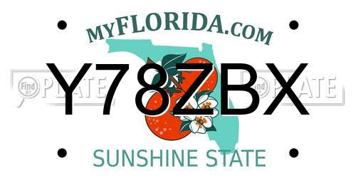 Y78ZBX Florida License Plate