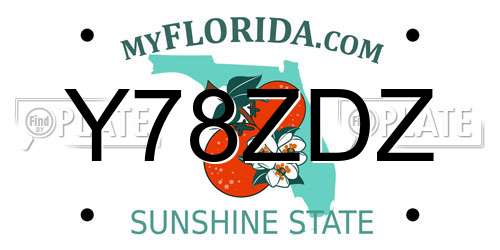 Y78ZDZ Florida License Plate