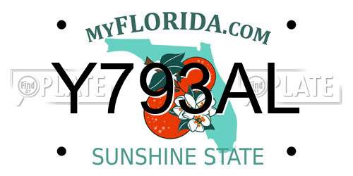 Y793AL Florida License Plate