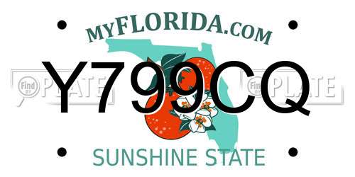 Y799CQ Florida License Plate