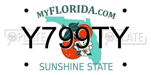 Y799TY Florida License Plate