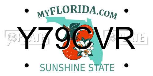 Y79CVR Florida License Plate